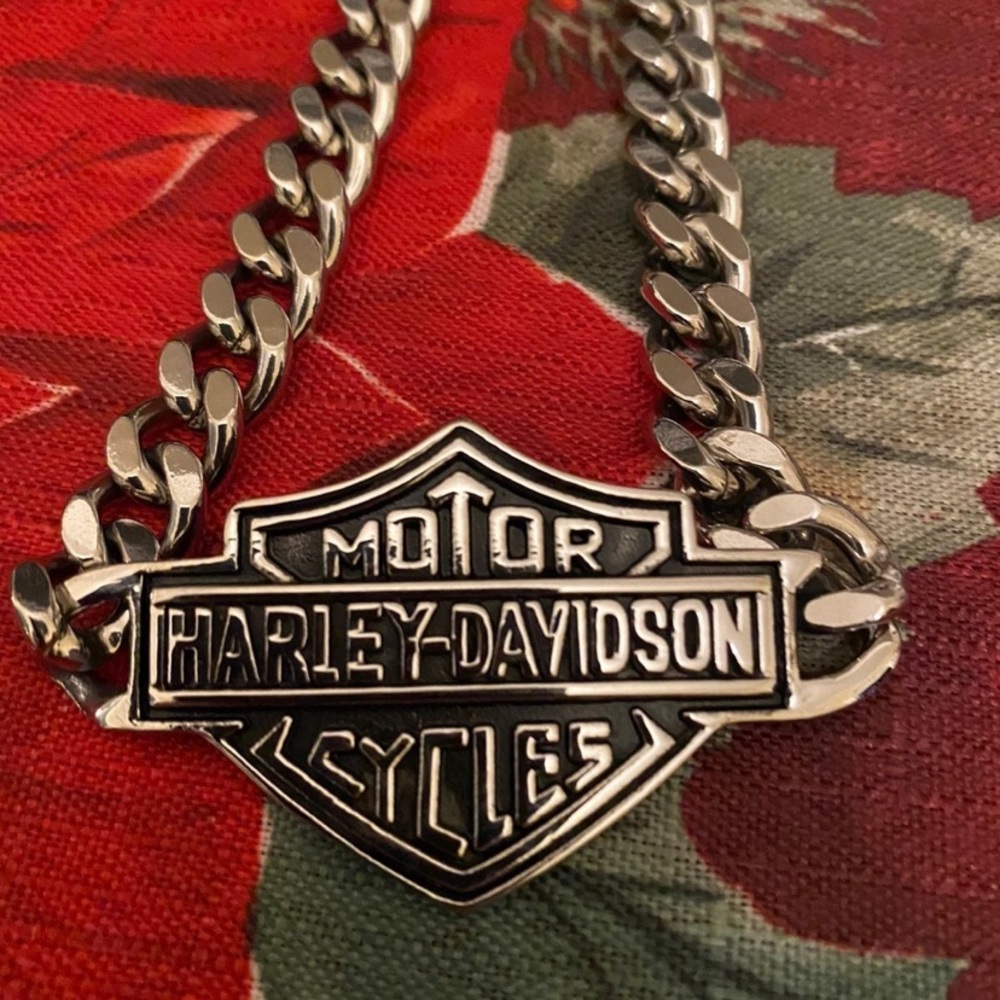 - Harley Big Chain, Jewelry for Men, BFF, HD - Picture 1 of 4